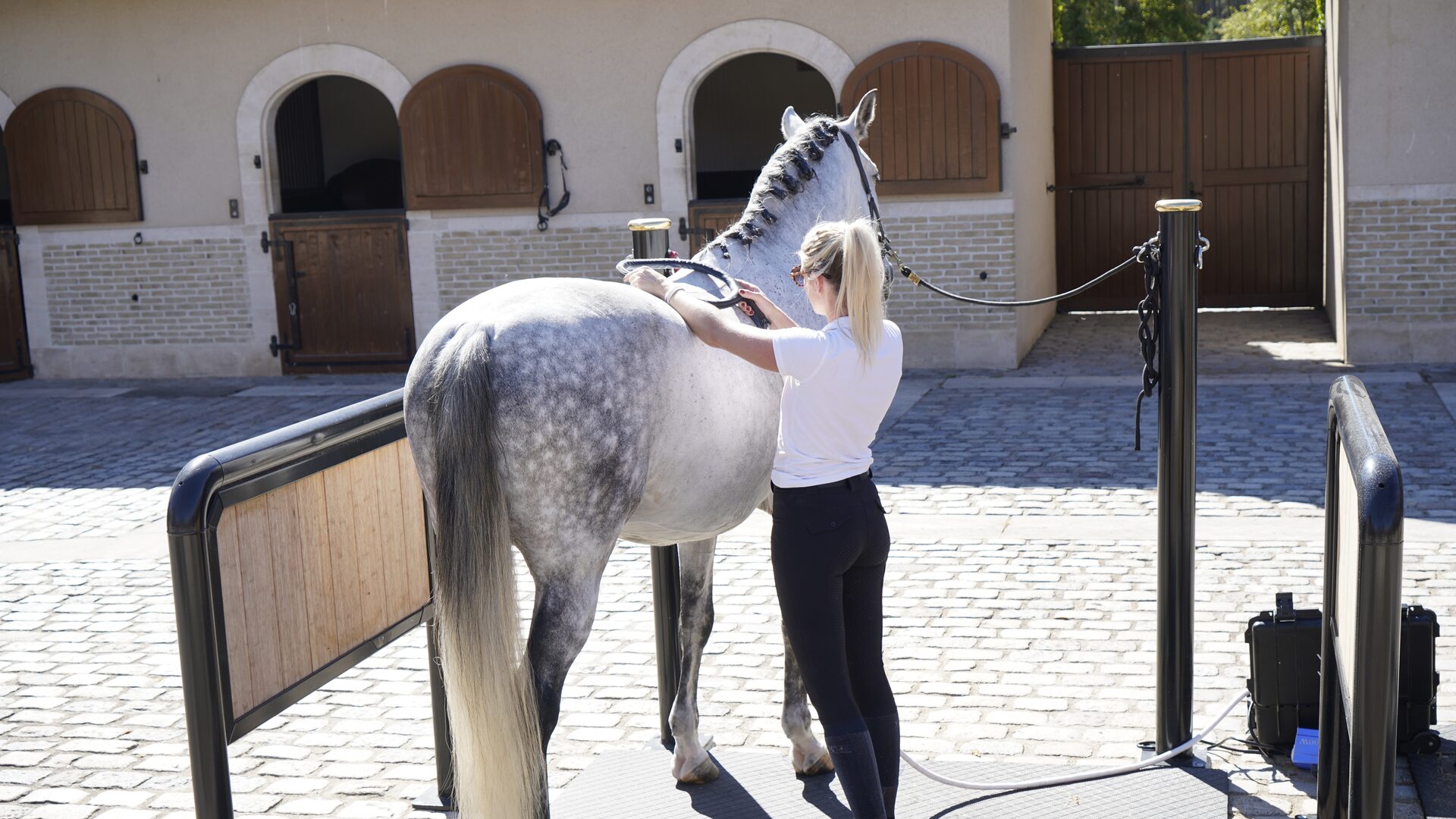 VYRA PMST Loop Anwendung im Stallhof, Pferd und Reiterin in voller Figur